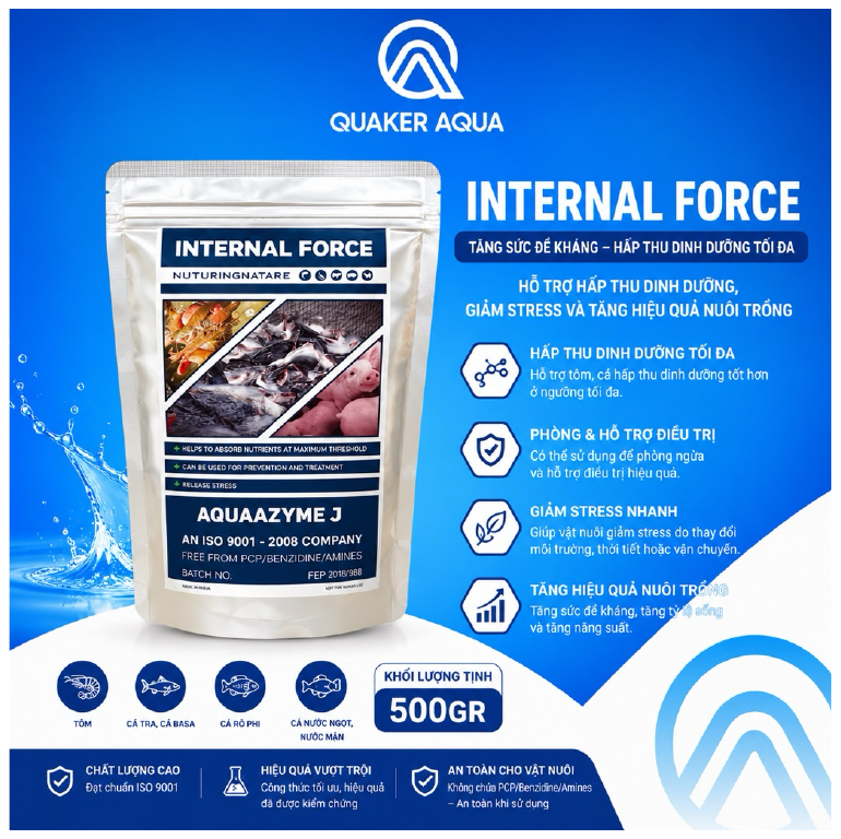 Bao bì sản phẩm INTERNAL FORCE Aquaazyme J 500g